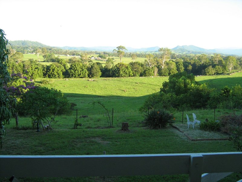 Photo - Kyogle NSW 2474 - Image 11