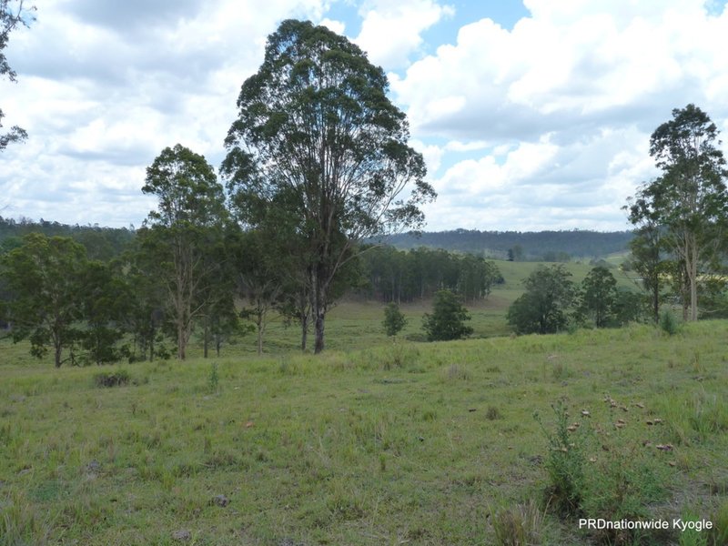 Photo - Kyogle NSW 2474 - Image 6