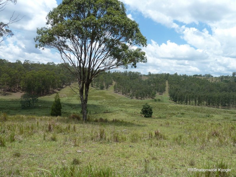 Photo - Kyogle NSW 2474 - Image 11