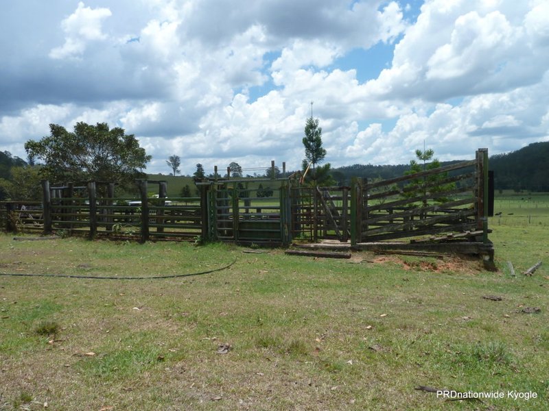 Photo - Kyogle NSW 2474 - Image 20