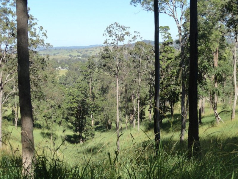 Photo - Kyogle NSW 2474 - Image 12