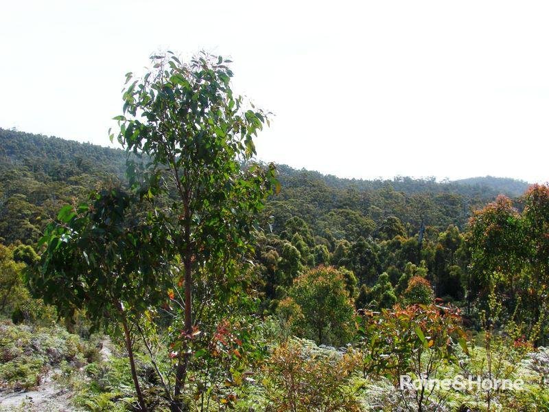 Photo - L1 Kelletts Road, Sloping Main TAS 7186 - Image 6