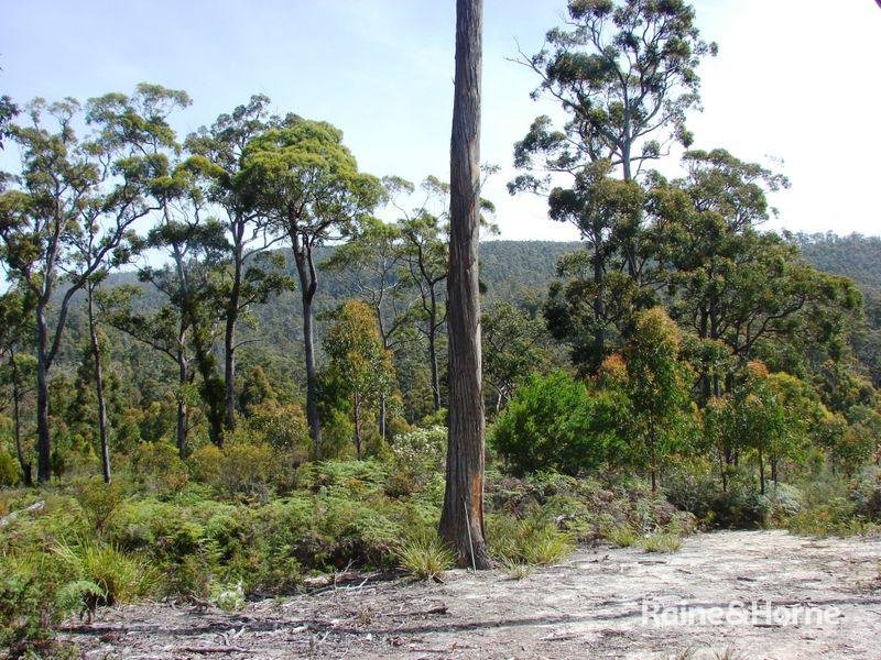 Photo - L1 Kelletts Road, Sloping Main TAS 7186 - Image 15