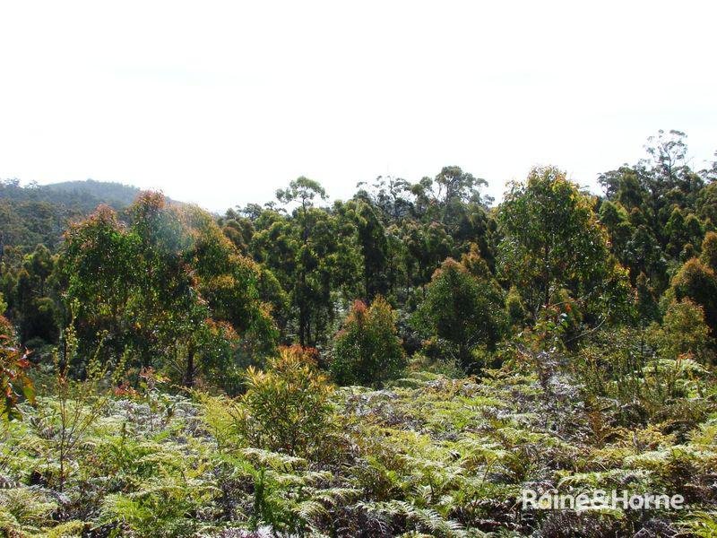 Photo - L1 Kelletts Road, Sloping Main TAS 7186 - Image 22