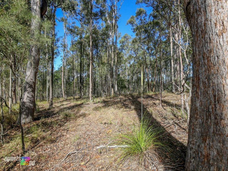 Photo - L124 Imhoff Road, Glenwood QLD 4570 - Image 10