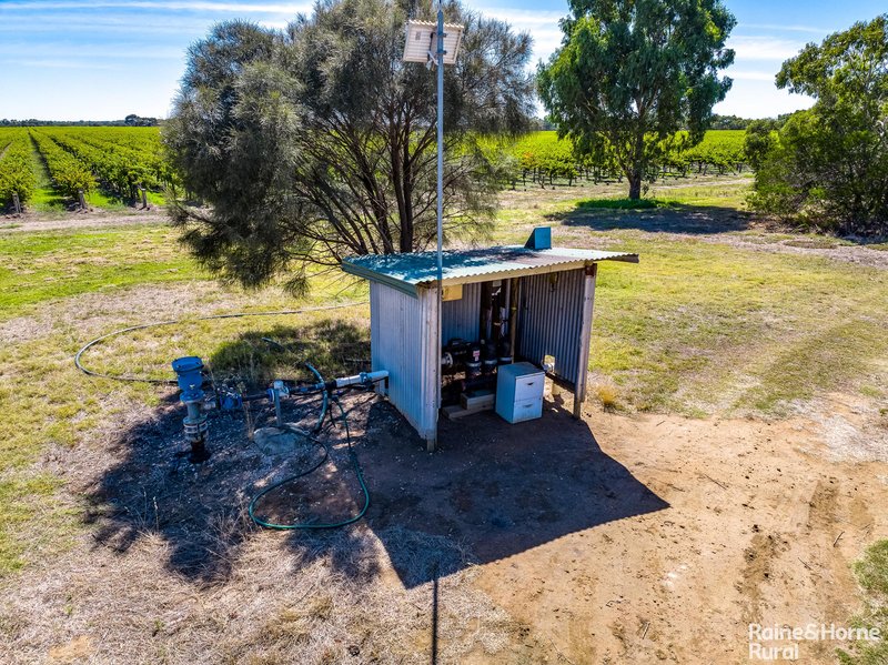 Photo - L2818 Lake Road, Lake Plains SA 5255 - Image 8