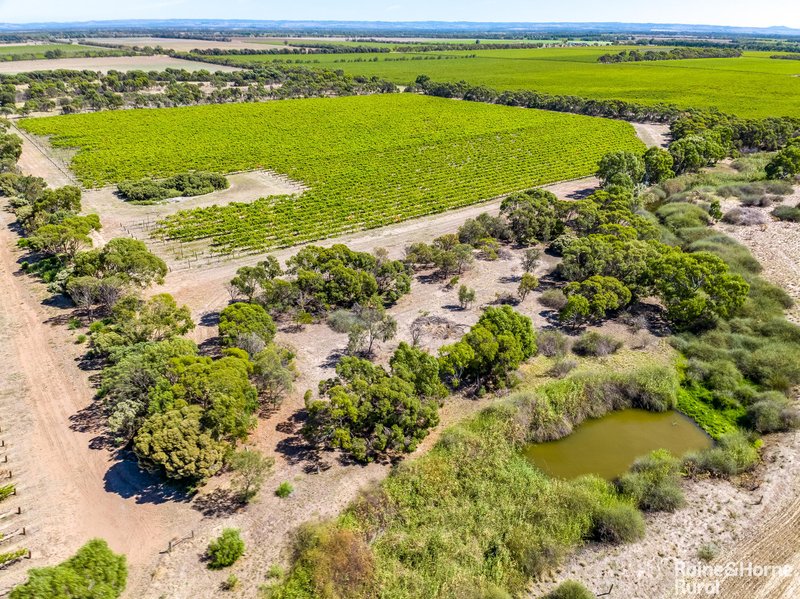 Photo - L2818 Lake Road, Lake Plains SA 5255 - Image 21