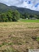 Photo - L3 Keir Road, Tully QLD 4854 - Image 3