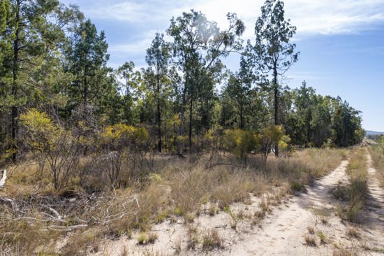 Photo - L42 BNT783 Mosquito Creek Rd , Canning Creek QLD 4357 - Image 2