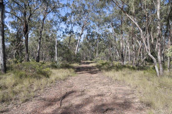 Photo - L42 BNT783 Mosquito Creek Rd , Canning Creek QLD 4357 - Image 3