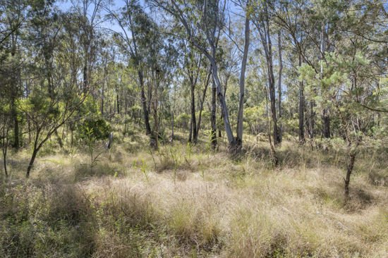 Photo - L42 BNT783 Mosquito Creek Rd , Canning Creek QLD 4357 - Image 4