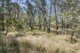 Photo - L42 BNT783 Mosquito Creek Rd , Canning Creek QLD 4357 - Image 4