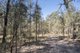 Photo - L42 BNT783 Mosquito Creek Rd , Canning Creek QLD 4357 - Image 5