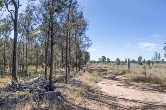 Photo - L42 BNT783 Mosquito Creek Rd , Canning Creek QLD 4357 - Image 6