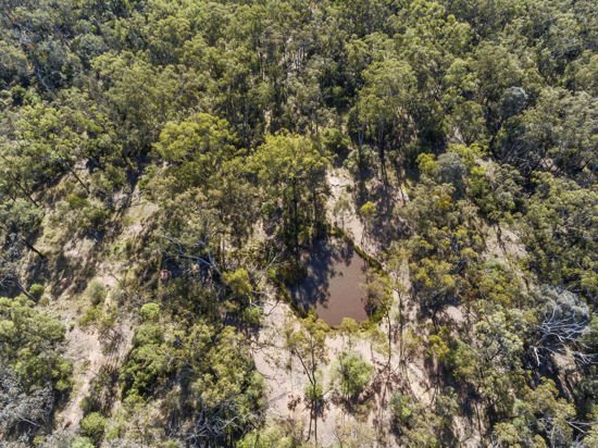 Photo - L42 BNT783 Mosquito Creek Rd , Canning Creek QLD 4357 - Image 8