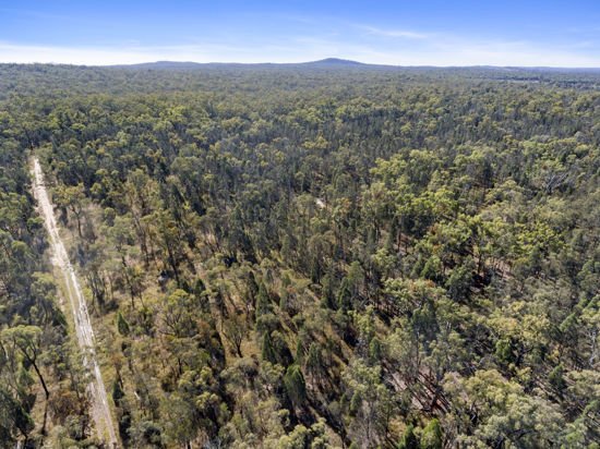 Photo - L42 BNT783 Mosquito Creek Rd , Canning Creek QLD 4357 - Image 9