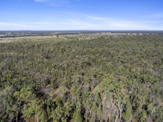 Photo - L42 BNT783 Mosquito Creek Rd , Canning Creek QLD 4357 - Image 10