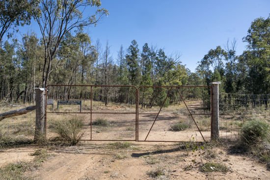 Photo - L42 BNT783 Mosquito Creek Rd , Canning Creek QLD 4357 - Image 13