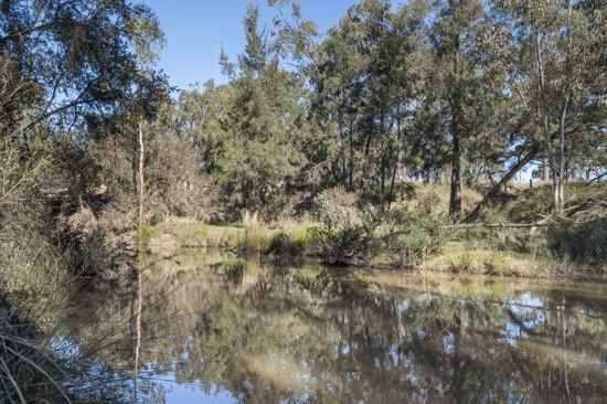 Photo - L42 BNT783 Mosquito Creek Rd , Canning Creek QLD 4357 - Image 15