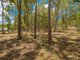 Photo - L74 Brassington Road, Glenwood QLD 4570 - Image 9