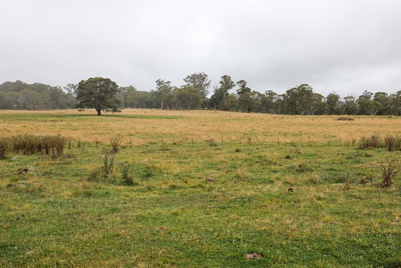 Photo - 'Lagoona Downs' Rubys Nob Road, Niangala NSW 2354 - Image 11