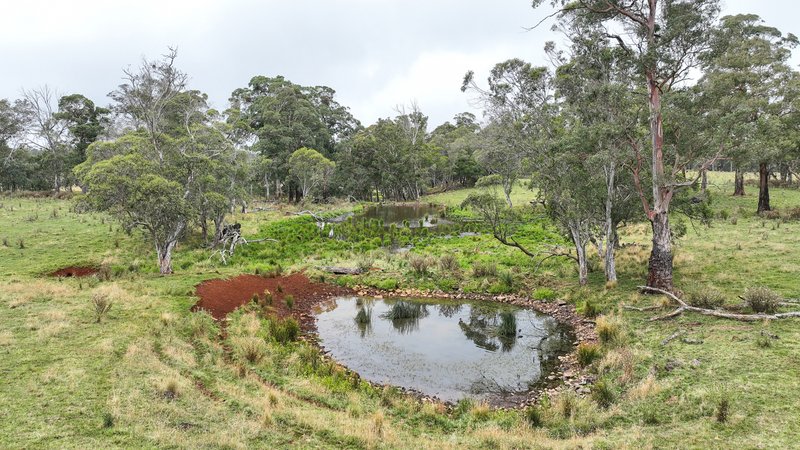 Photo - 'Lagoona Downs' Rubys Nob Road, Niangala NSW 2354 - Image 12