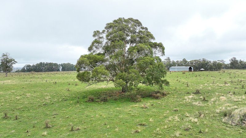 Photo - 'Lagoona Downs' Rubys Nob Road, Niangala NSW 2354 - Image 13