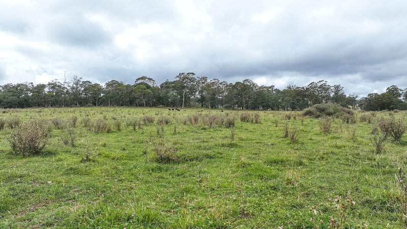 Photo - 'Lagoona Downs' Rubys Nob Road, Niangala NSW 2354 - Image 18