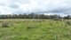 Photo - 'Lagoona Downs' Rubys Nob Road, Niangala NSW 2354 - Image 18