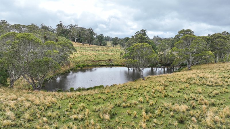 Photo - 'Lagoona Downs' Rubys Nob Road, Niangala NSW 2354 - Image 19