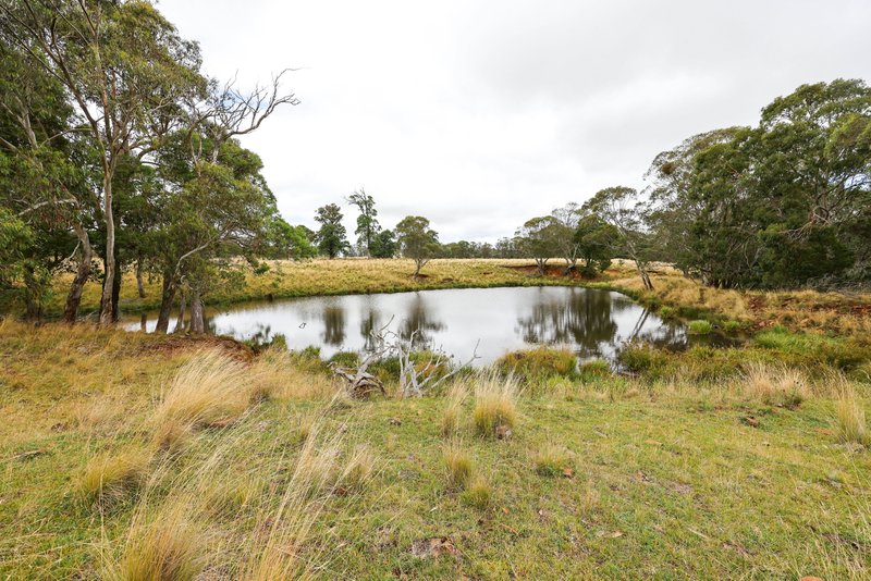 Photo - 'Lagoona Downs' Rubys Nob Road, Niangala NSW 2354 - Image 20