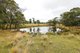 Photo - 'Lagoona Downs' Rubys Nob Road, Niangala NSW 2354 - Image 20