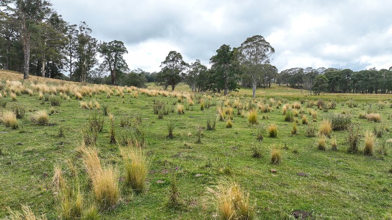 Photo - 'Lagoona Downs' Rubys Nob Road, Niangala NSW 2354 - Image 21