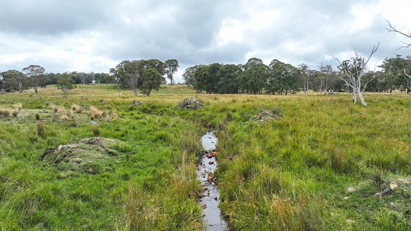 Photo - 'Lagoona Downs' Rubys Nob Road, Niangala NSW 2354 - Image 22