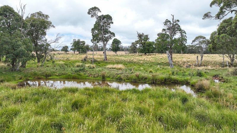 Photo - 'Lagoona Downs' Rubys Nob Road, Niangala NSW 2354 - Image 23