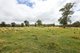 Photo - 'Lagoona Downs' Rubys Nob Road, Niangala NSW 2354 - Image 25