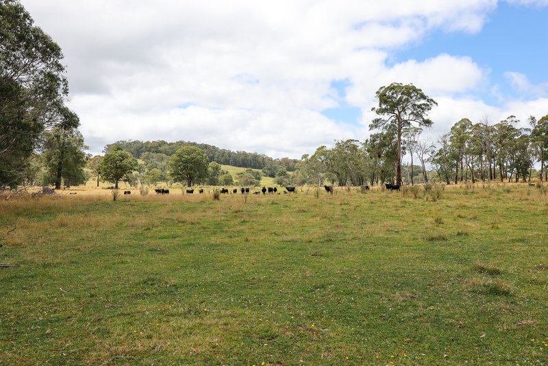 Photo - 'Lagoona Downs' Rubys Nob Road, Niangala NSW 2354 - Image 27