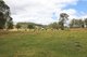 Photo - 'Lagoona Downs' Rubys Nob Road, Niangala NSW 2354 - Image 27