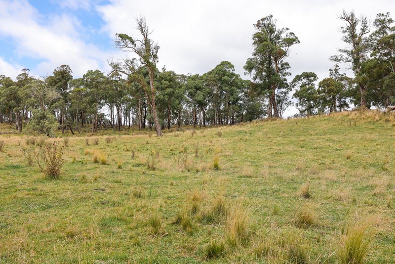 Photo - 'Lagoona Downs' Rubys Nob Road, Niangala NSW 2354 - Image 28