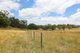 Photo - 'Lagoona Downs' Rubys Nob Road, Niangala NSW 2354 - Image 33