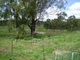 Photo - Laidley QLD 4341 - Image 3