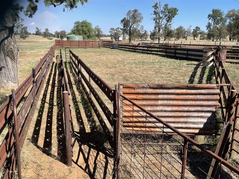 Photo - . Lake Road, Urana NSW 2645 - Image 7