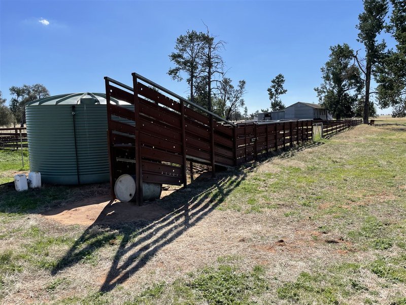 Photo - . Lake Road, Urana NSW 2645 - Image 8