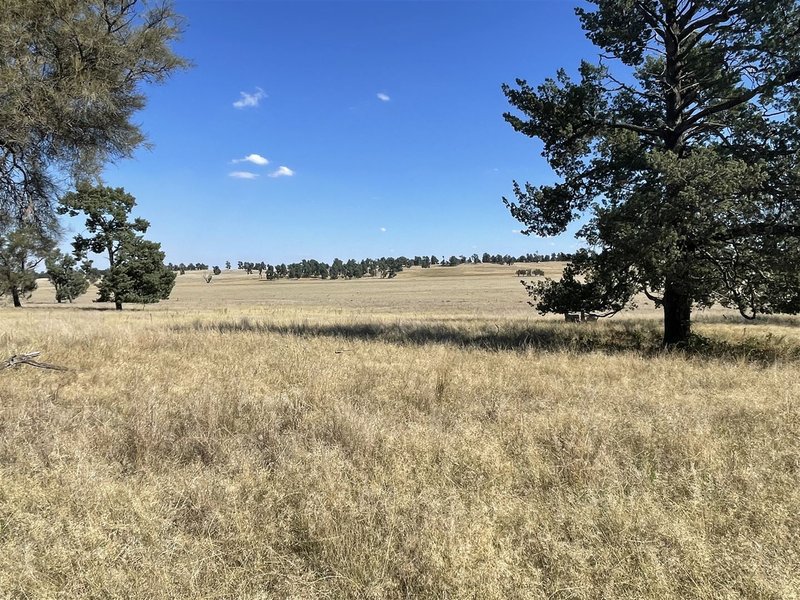 Photo - . Lake Road, Urana NSW 2645 - Image 12