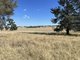 Photo - . Lake Road, Urana NSW 2645 - Image 12