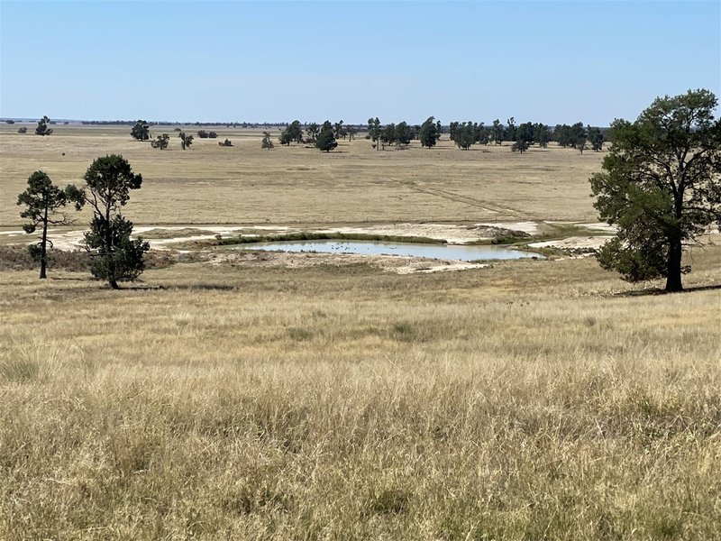 Photo - . Lake Road, Urana NSW 2645 - Image 19