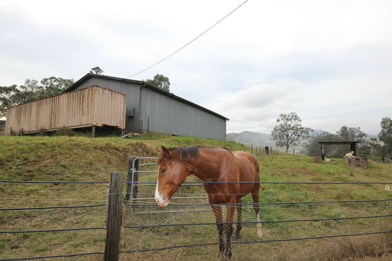 Lamington QLD 4285