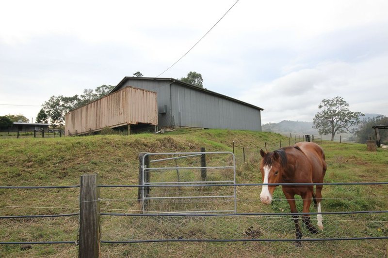 Photo - Lamington QLD 4285 - Image 3