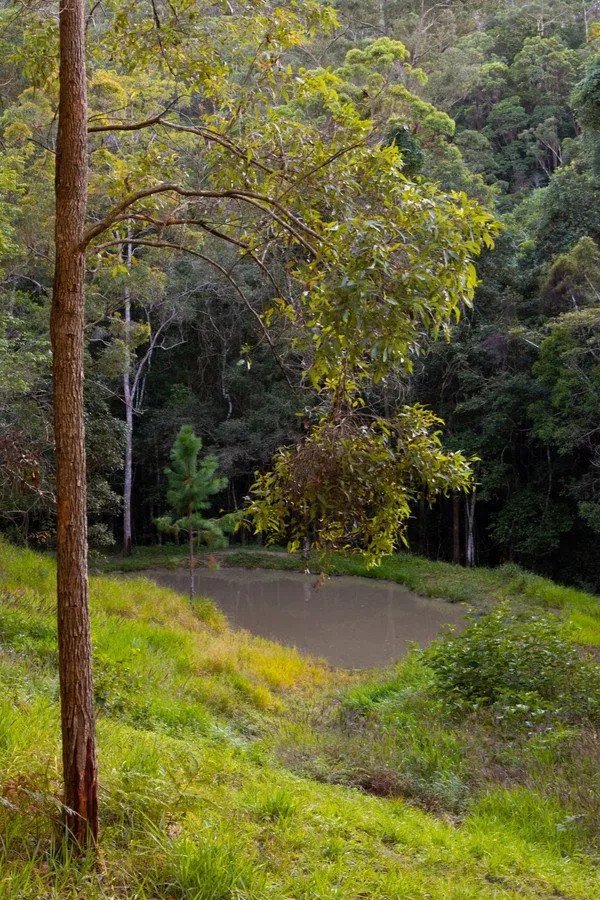 Photo - Landsborough QLD 4550 - Image 16