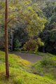 Photo - Landsborough QLD 4550 - Image 16